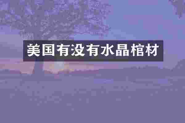 美国有没有水晶棺材