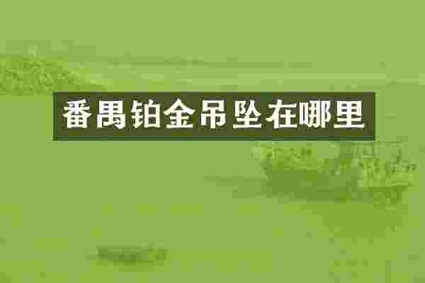 番禺铂金吊坠在哪里
