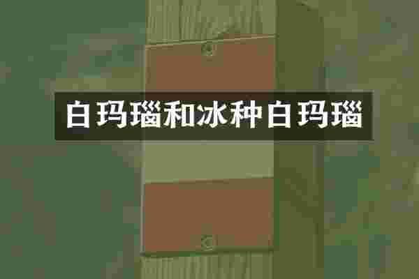 白玛瑙和冰种白玛瑙