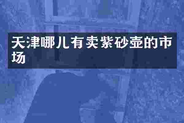 天津哪儿有卖紫砂壶的市场