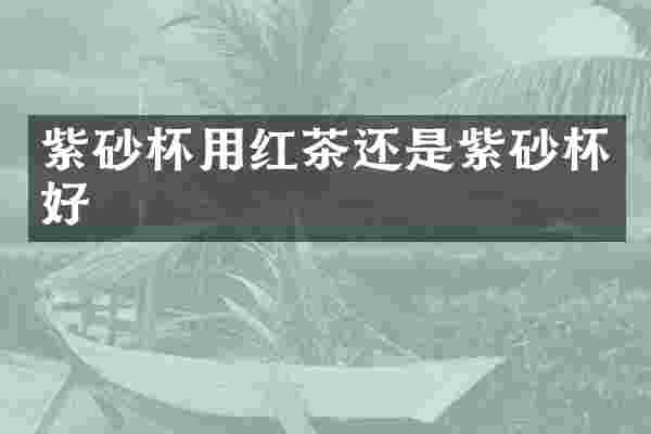 紫砂杯用红茶还是紫砂杯好