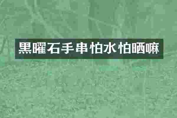 黑曜石手串怕水怕晒嘛
