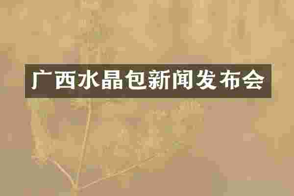 广西水晶包新闻发布会