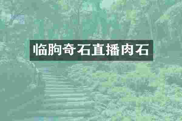 临朐奇石直播肉石