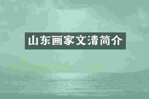 山东画家文清简介