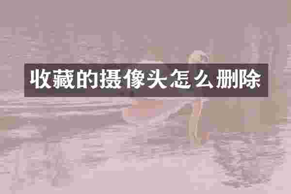收藏的摄像头怎么删除