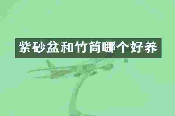 紫砂盆和竹筒哪个好养