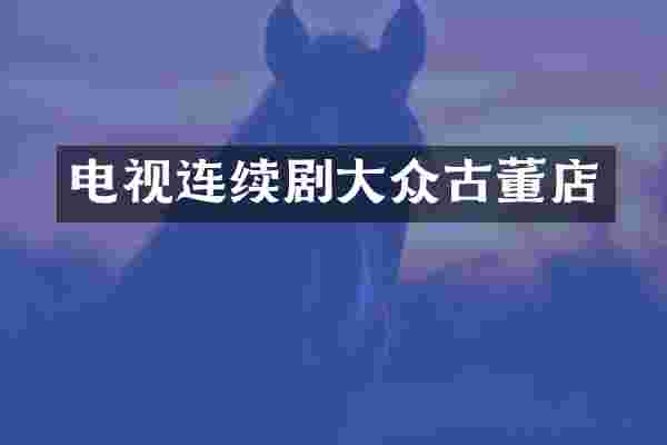 电视连续剧大众古董店