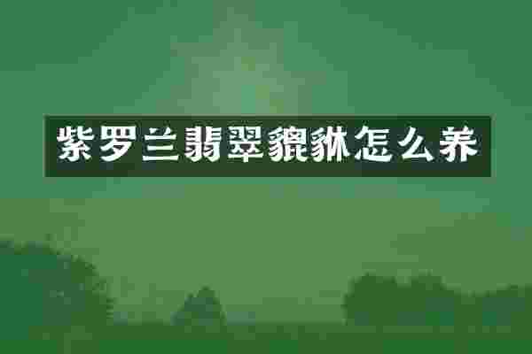 紫罗兰翡翠貔貅怎么养