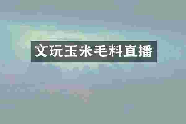 文玩玉米毛料直播
