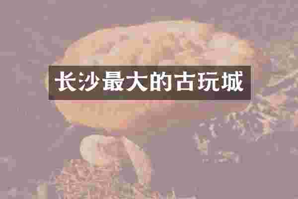 长沙最大的古玩城