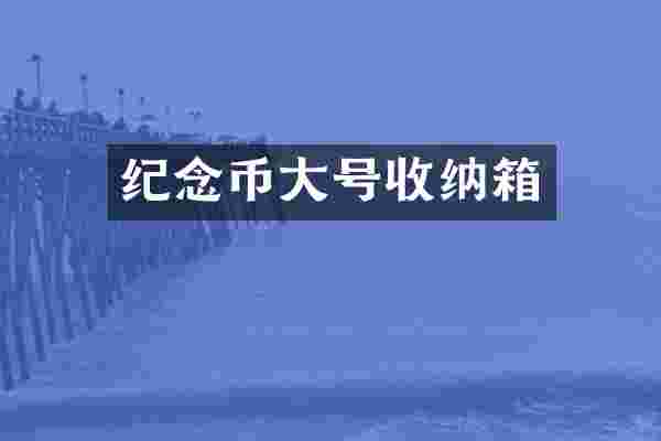 纪念币大号收纳箱