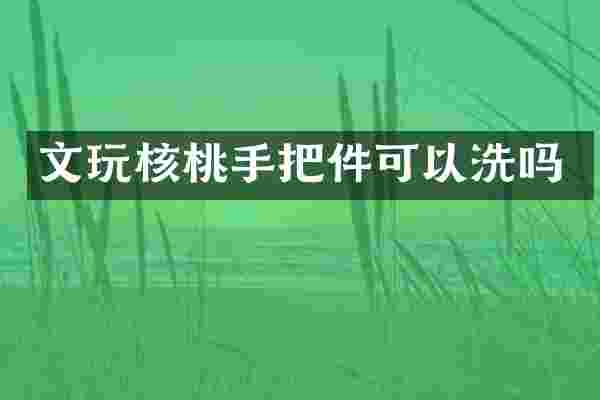 文玩核桃手把件可以洗吗