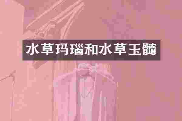 水草玛瑙和水草玉髓