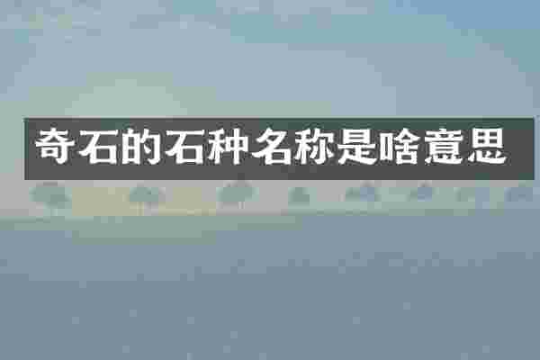 奇石的石种名称是啥意思