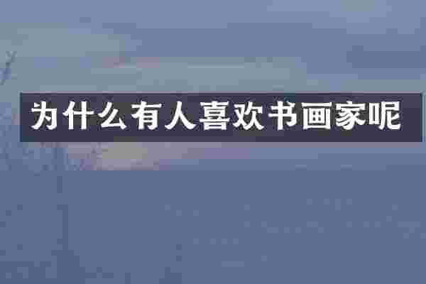 为什么有人喜欢书画家呢