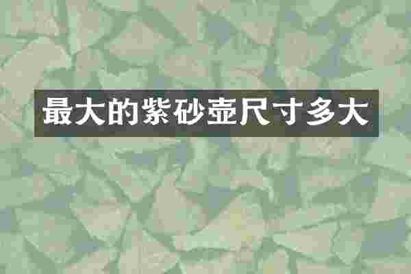 最大的紫砂壶尺寸多大