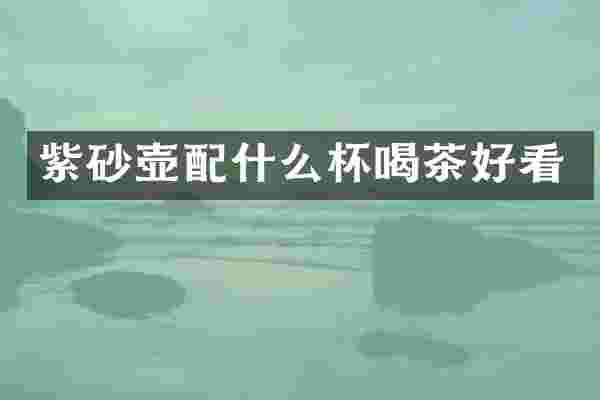 紫砂壶配什么杯喝茶好看