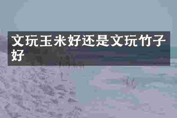 文玩玉米好还是文玩竹子好