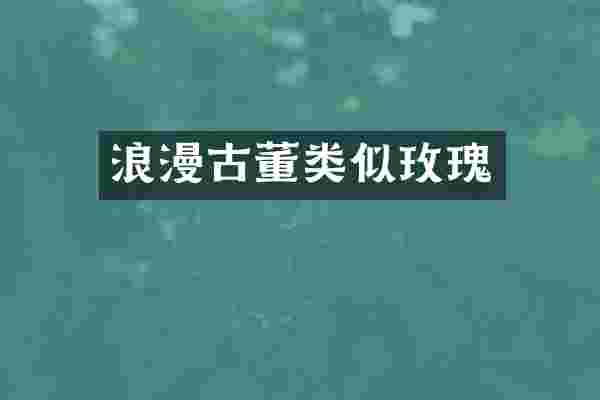 浪漫古董类似玫瑰