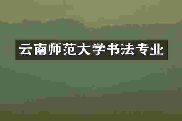 云南师范大学书法专业