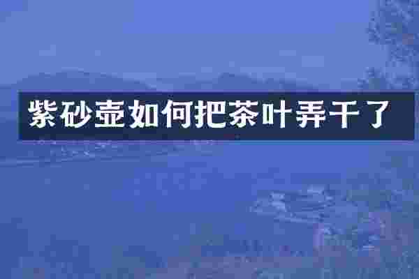 紫砂壶如何把茶叶弄干了