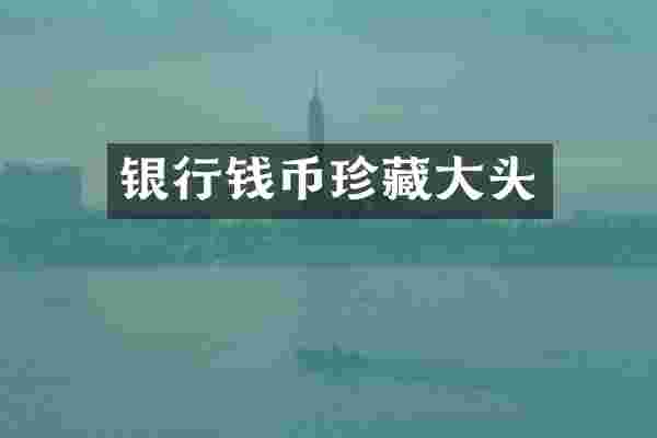 银行钱币珍藏大头