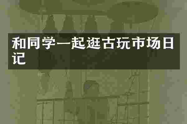 和同学一起逛古玩市场日记