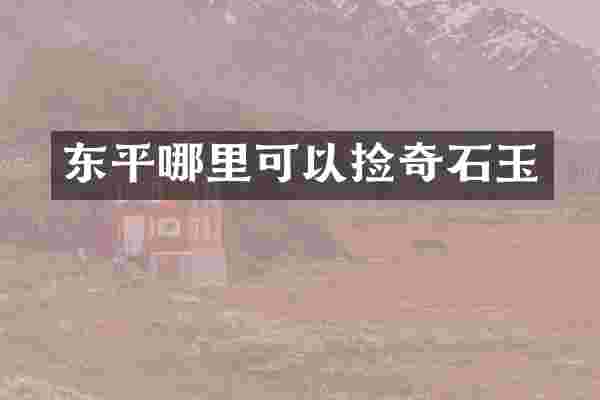 东平哪里可以捡奇石玉