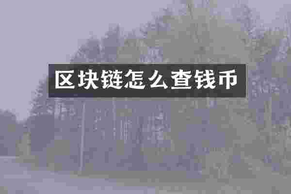 区块链怎么查钱币