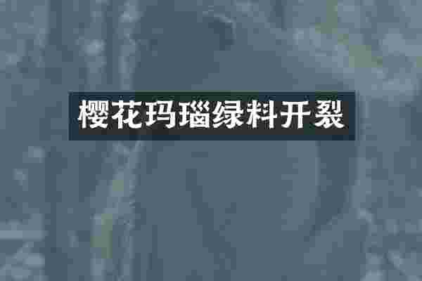 樱花玛瑙绿料开裂