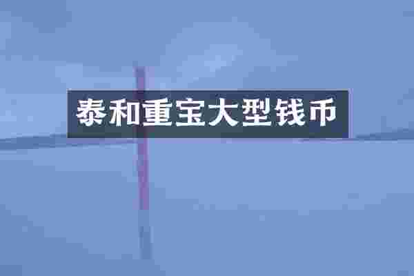 泰和重宝大型钱币