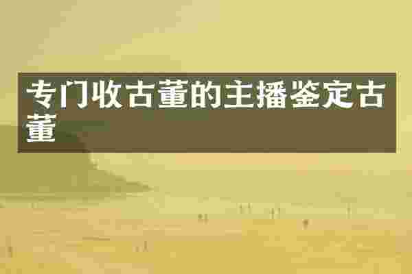 专门收古董的主播鉴定古董