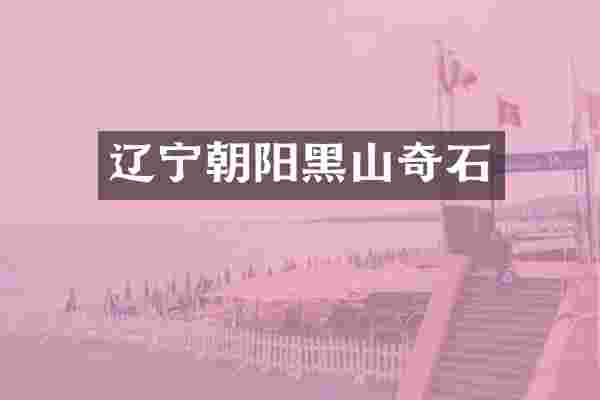 辽宁朝阳黑山奇石