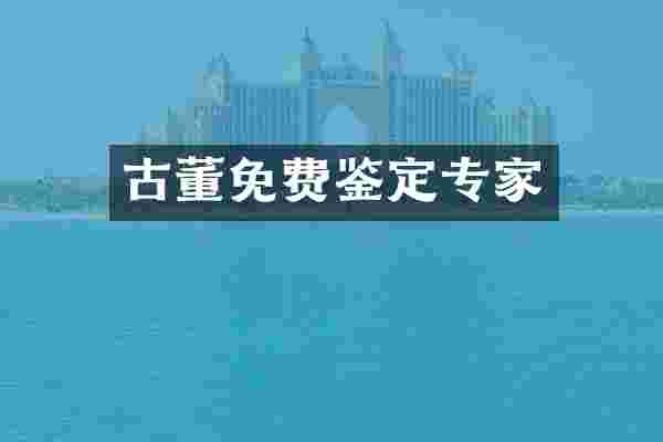 古董免费鉴定专家