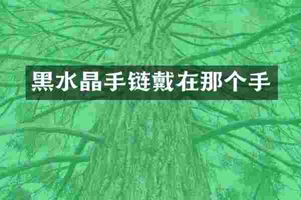 黑水晶手链戴在那个手
