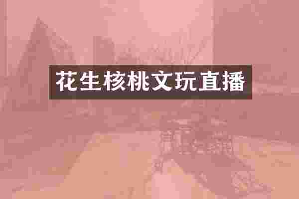 花生核桃文玩直播