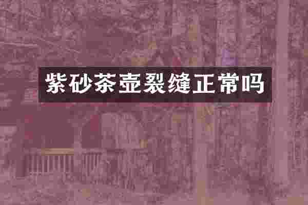 紫砂茶壶裂缝正常吗