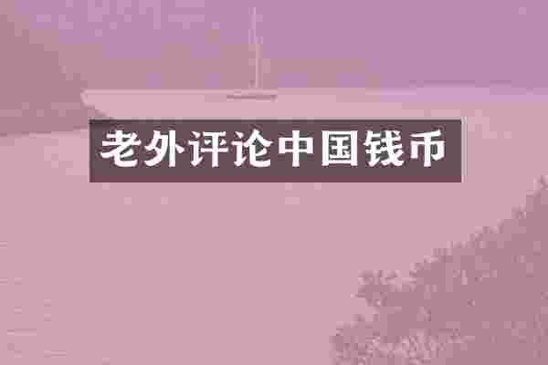 老外评论中国钱币