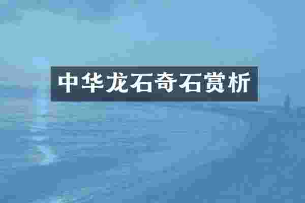 中华龙石奇石赏析