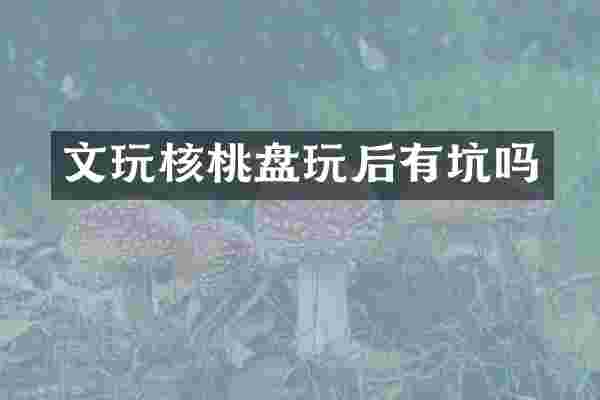 文玩核桃盘玩后有坑吗