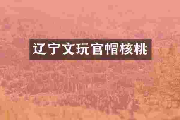 辽宁文玩官帽核桃