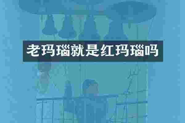 老玛瑙就是红玛瑙吗