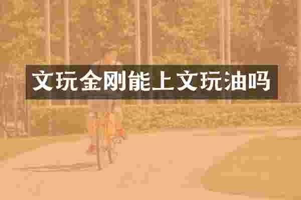 文玩金刚能上文玩油吗