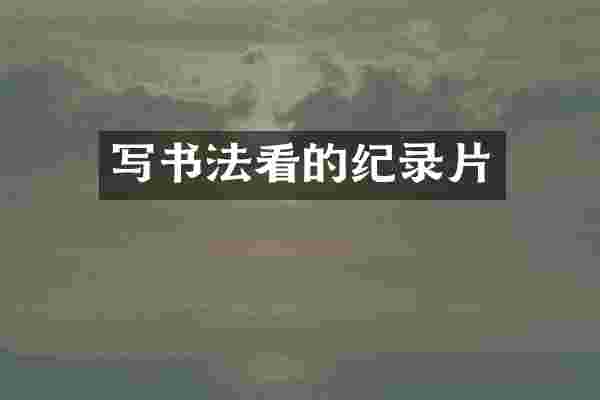 写书法看的纪录片