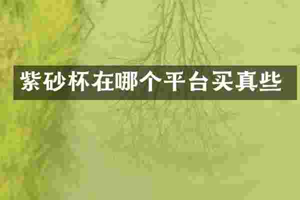 紫砂杯在哪个平台买真些