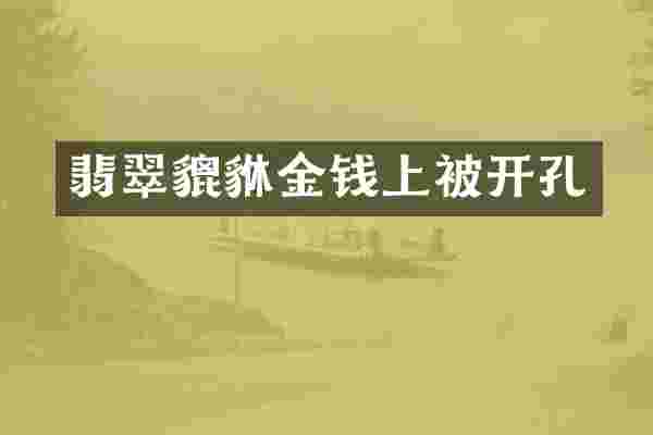 翡翠貔貅金钱上被开孔
