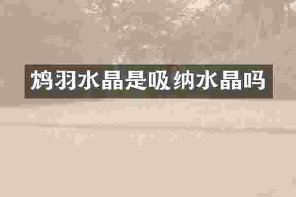 鸩羽水晶是吸纳水晶吗