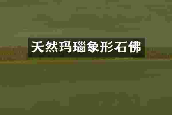 天然玛瑙象形石佛