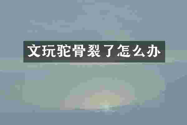 文玩驼骨裂了怎么办